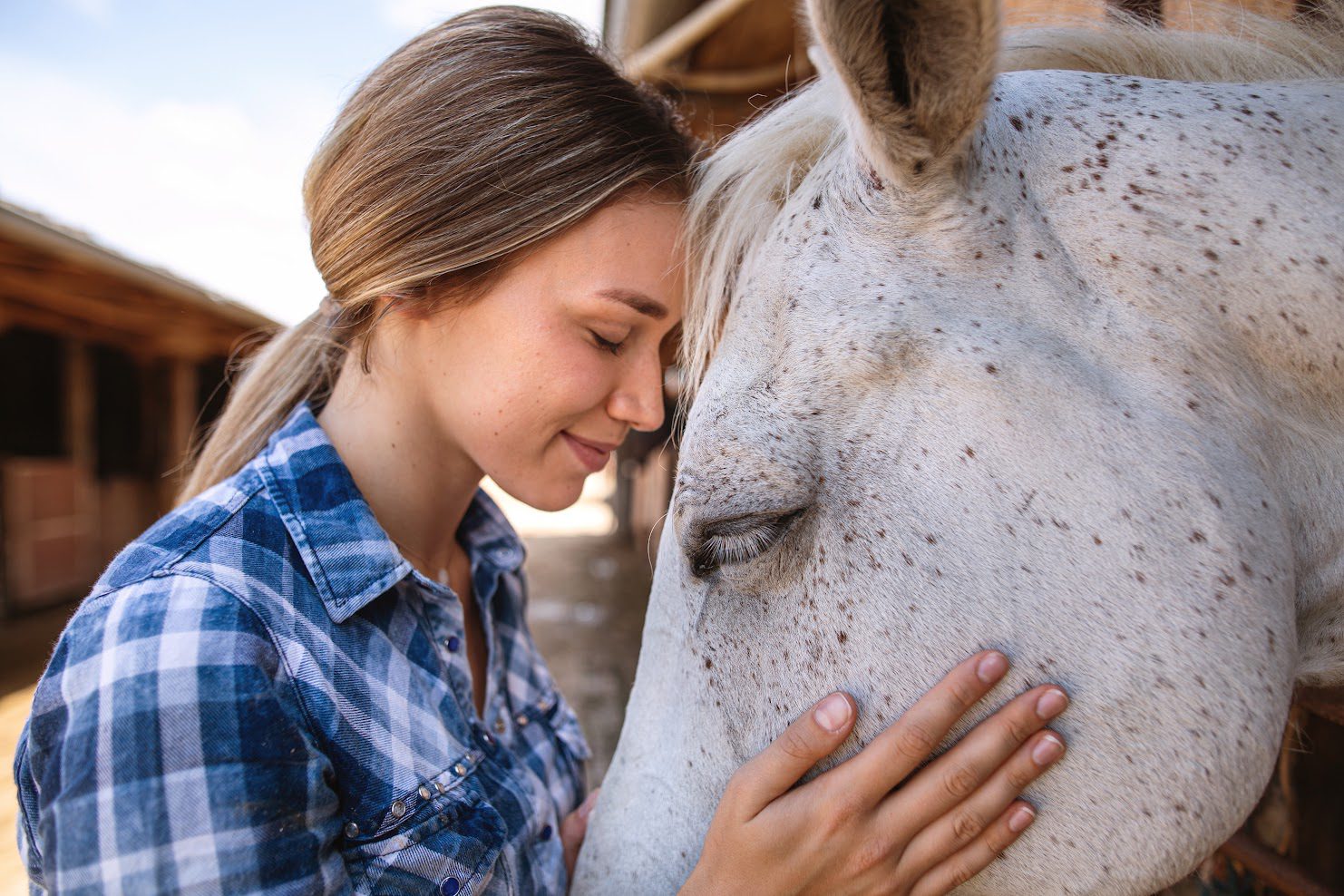 Girl bonding with her horses A woman is petting the face of a horse.