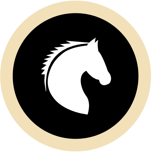 Specialized equine therapy for experiential healing and personal growth